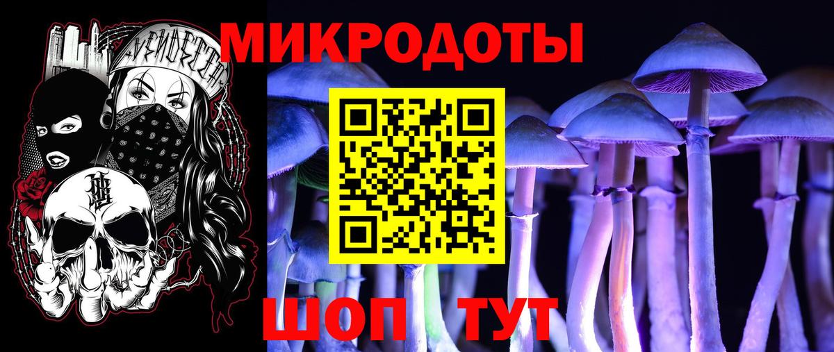 Галлюциногенные грибы Psilocybine cubensis Златоуст