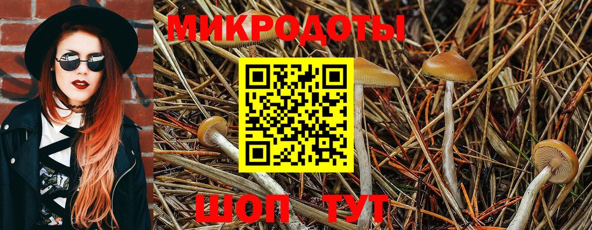 Галлюциногенные грибы Psilocybine cubensis  Вход с VPN  как найти закладки  Златоуст 